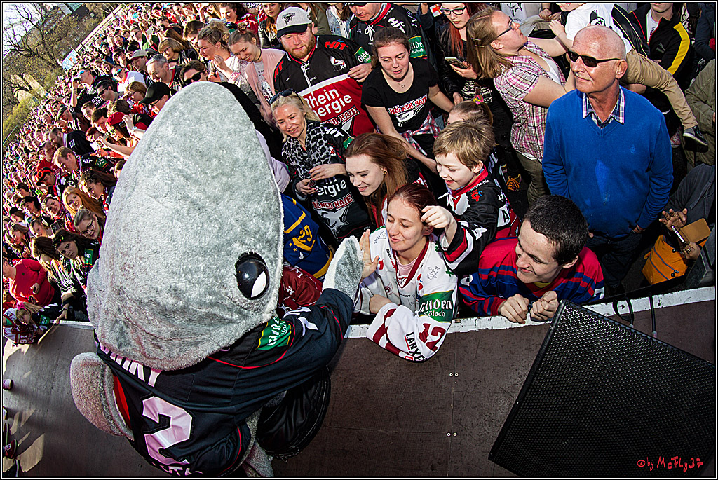Koelner Haie Abschussparty, 26.03.2017